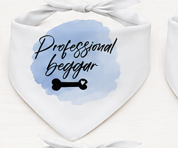 Dog bandana with 'Professional Beggar' text and blue watercolor design