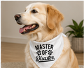 Dog wearing a bandana with 'Master of Disaster' text, sitting indoors.